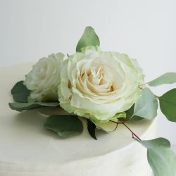 Valkoinen pyörre hääkakku valkoisilla ruusuilla ja eukalyptuksen oksilla